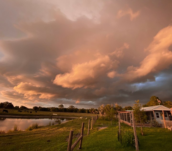 The wild and rolling&nbsp;summer